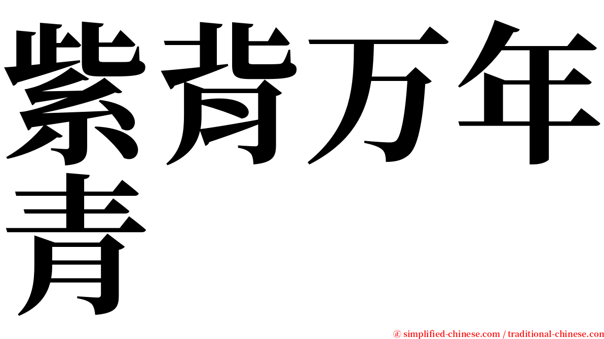 紫背万年青 serif font
