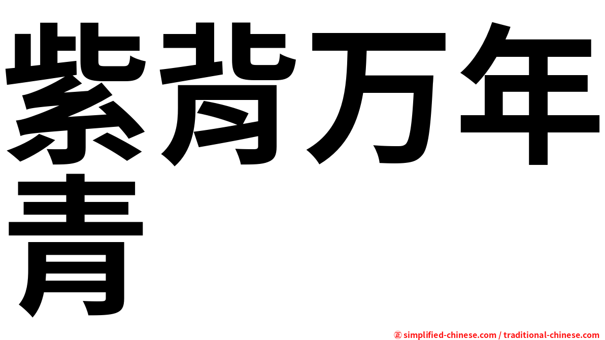 紫背万年青