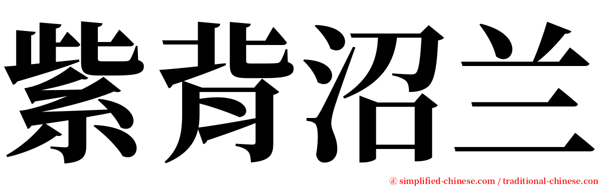 紫背沼兰 serif font