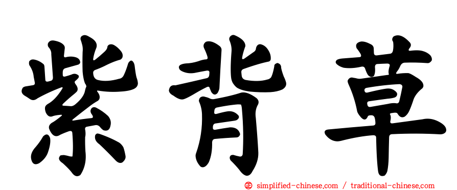 紫背草