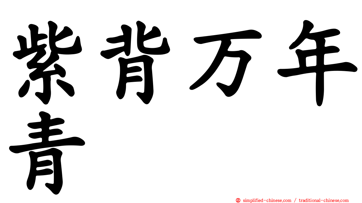 紫背万年青
