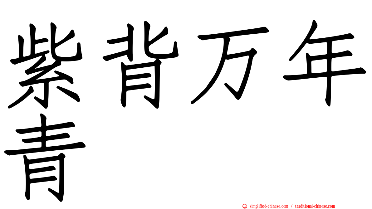 紫背万年青