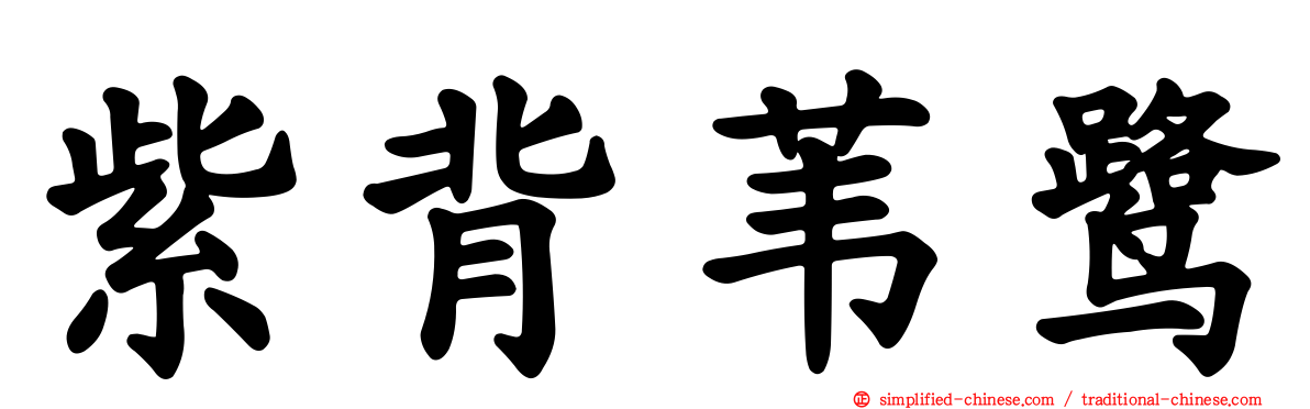 紫背苇鹭
