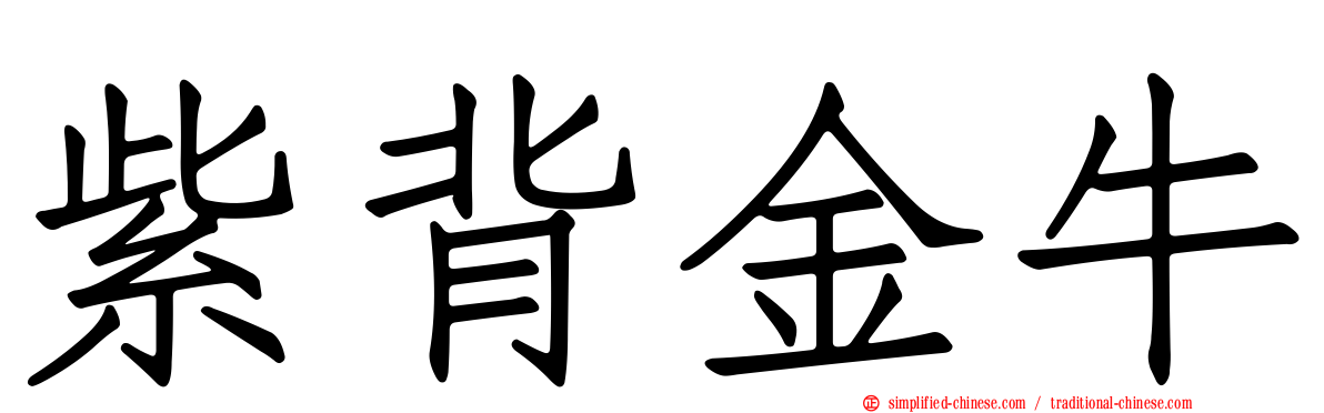 紫背金牛
