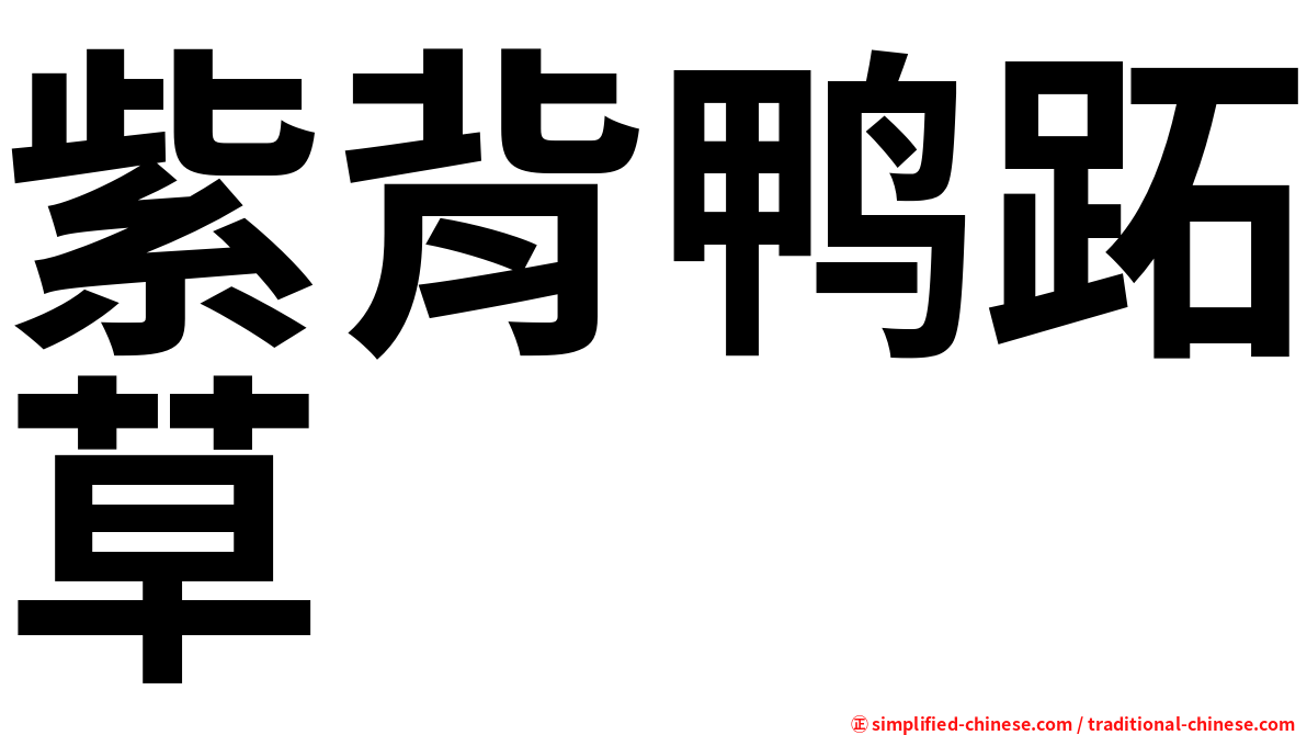 紫背鸭跖草