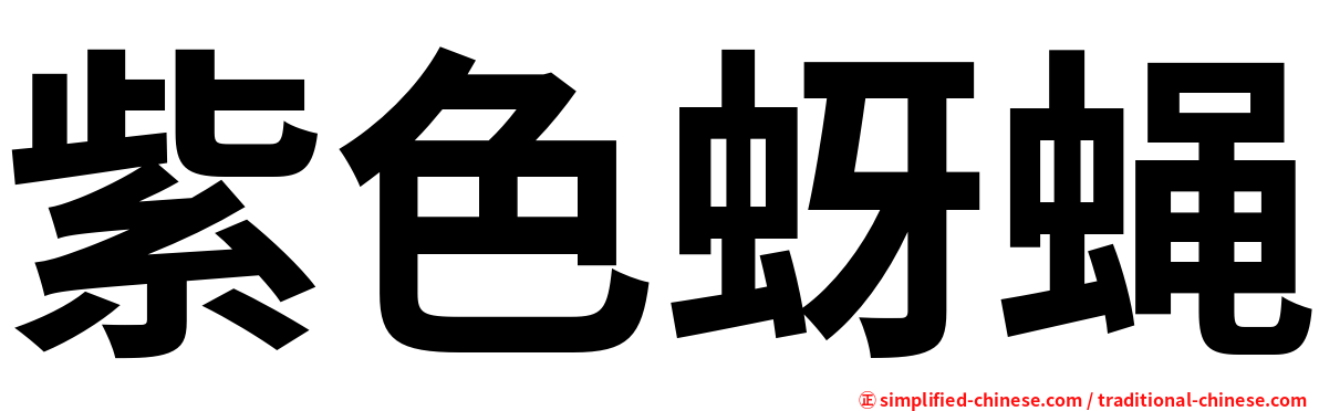 紫色蚜蝇