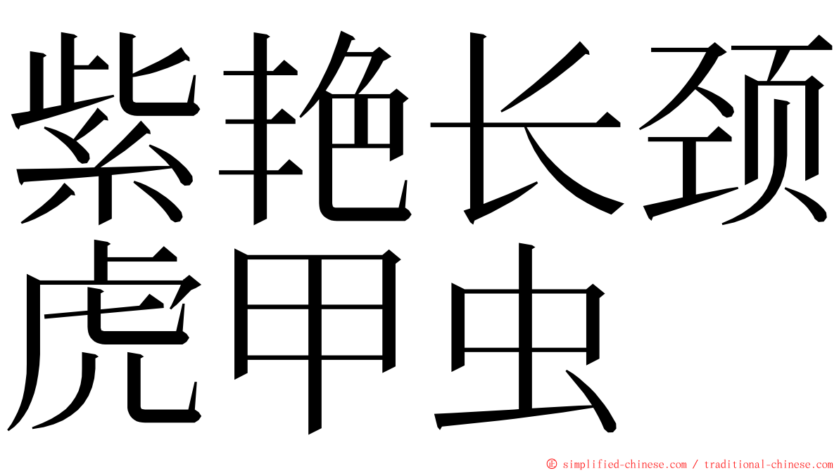 紫艳长颈虎甲虫 ming font
