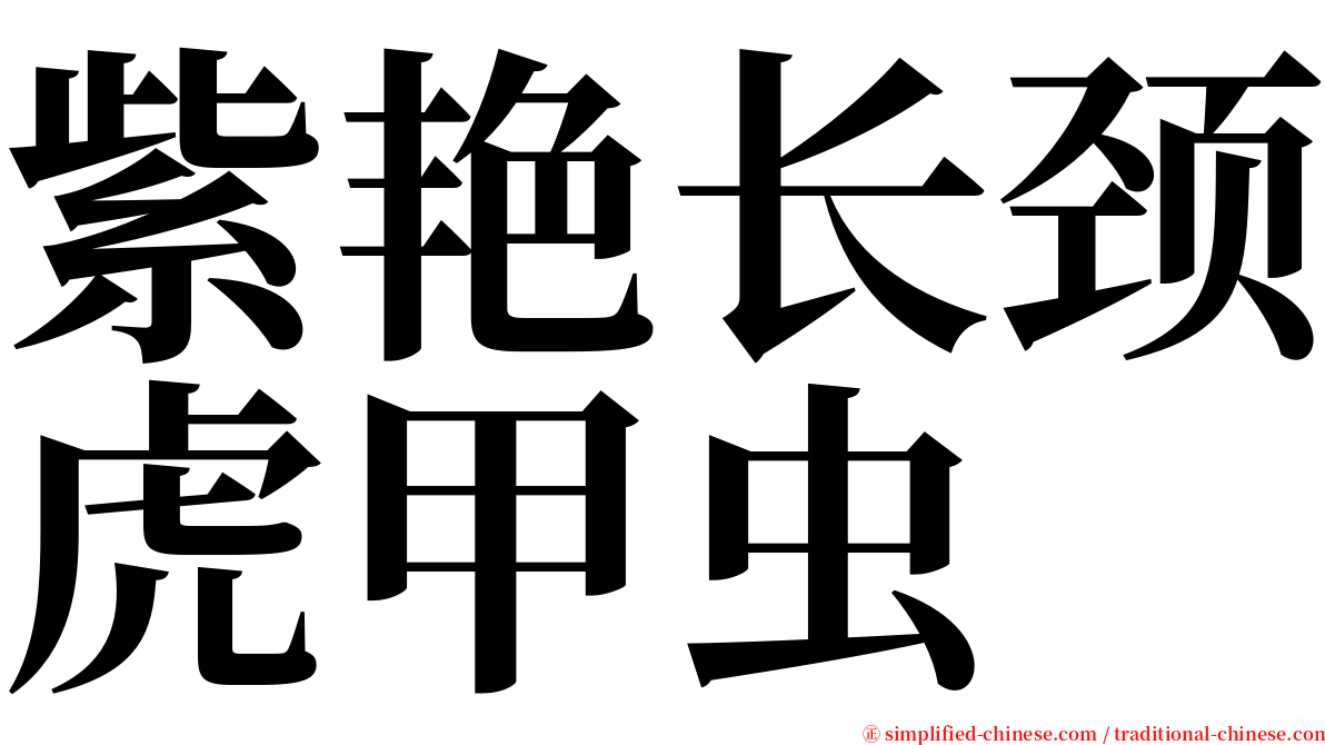 紫艳长颈虎甲虫 serif font