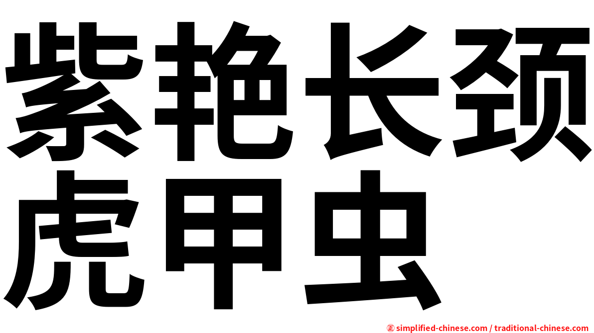 紫艳长颈虎甲虫