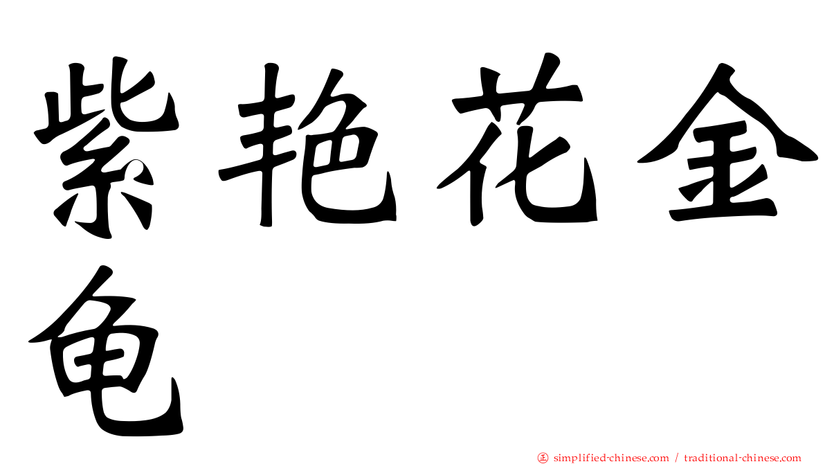 紫艳花金龟