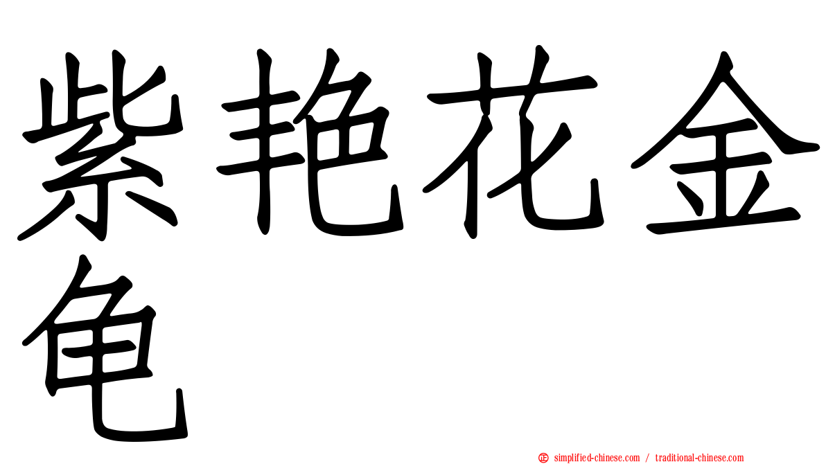 紫艳花金龟