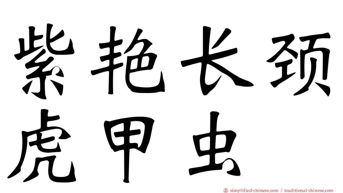 紫艳长颈虎甲虫