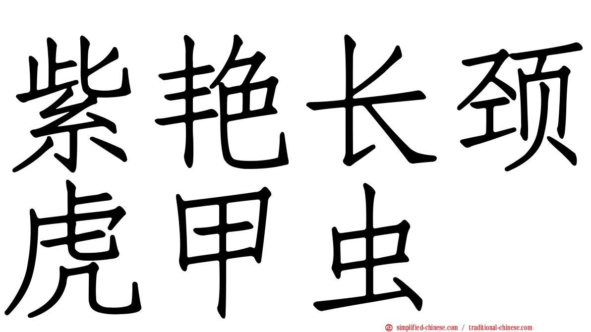 紫艳长颈虎甲虫