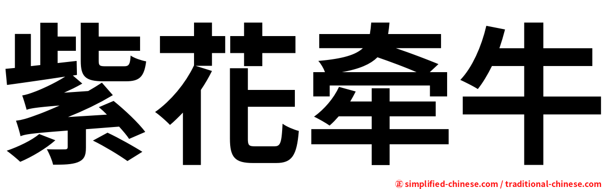 紫花牵牛