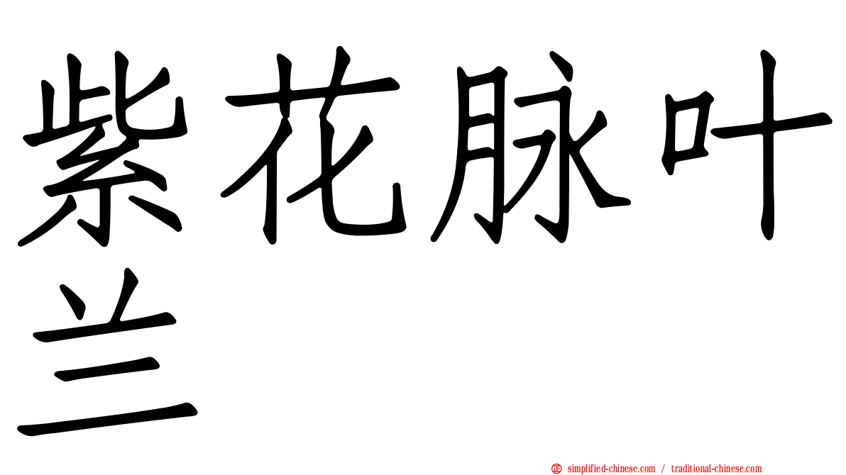 紫花脉叶兰