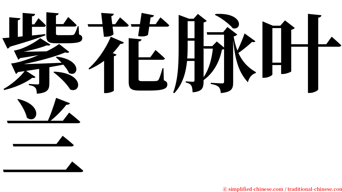 紫花脉叶兰 serif font