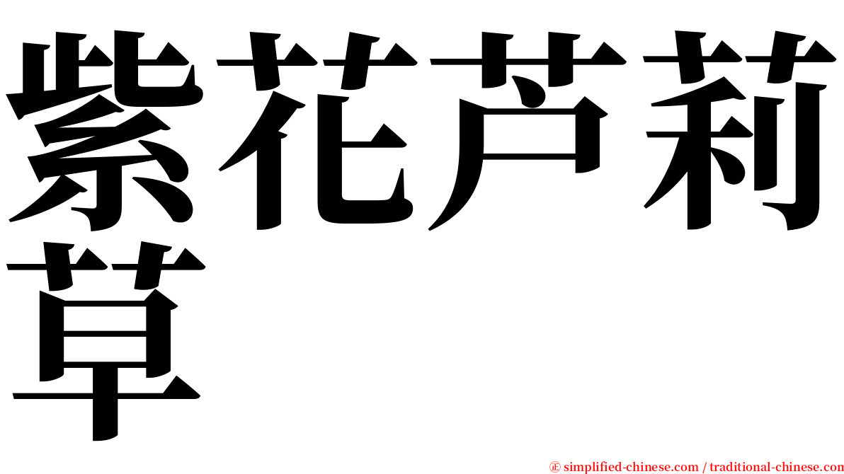 紫花芦莉草 serif font