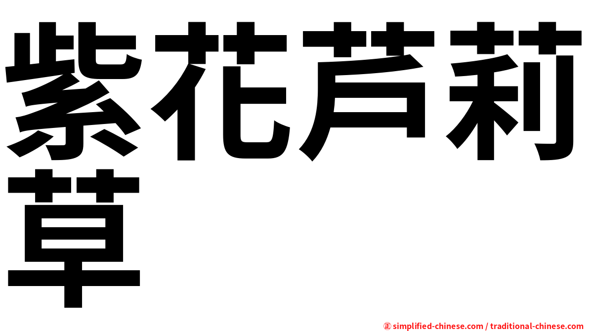 紫花芦莉草