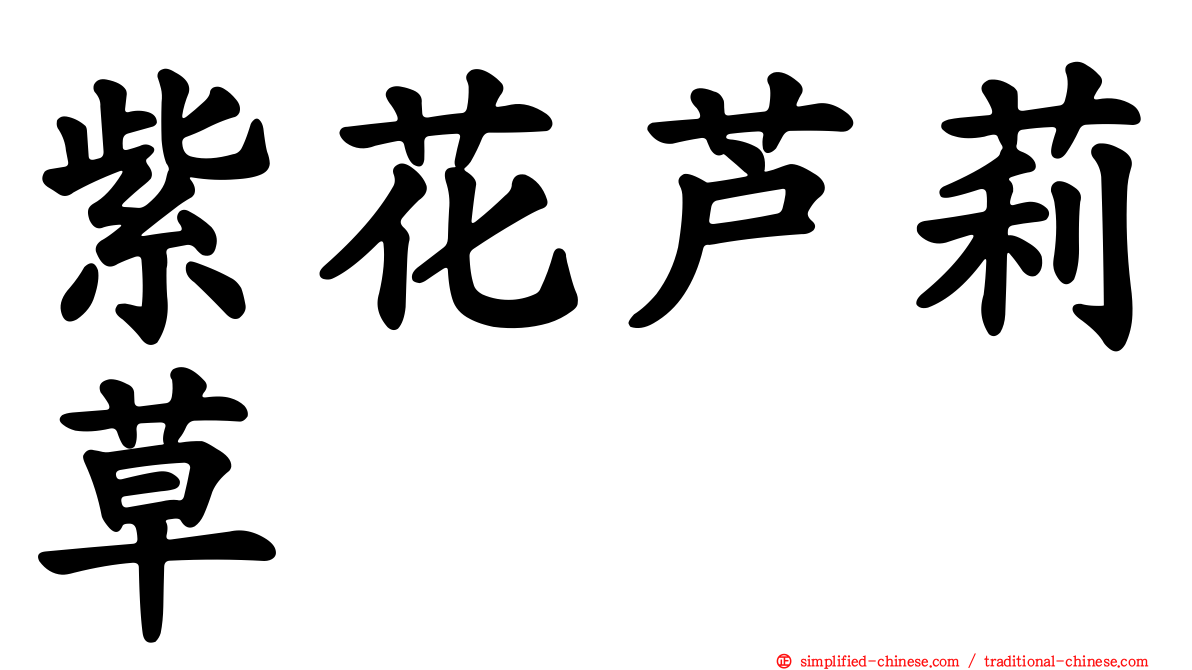 紫花芦莉草