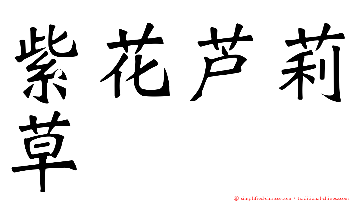 紫花芦莉草