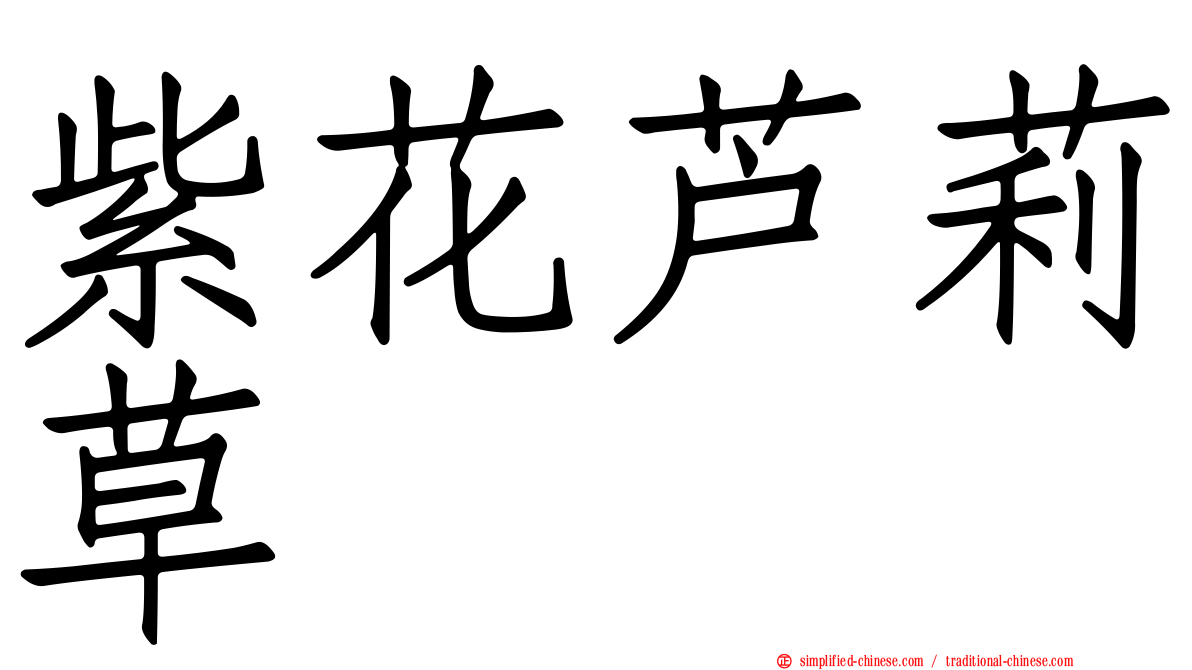 紫花芦莉草