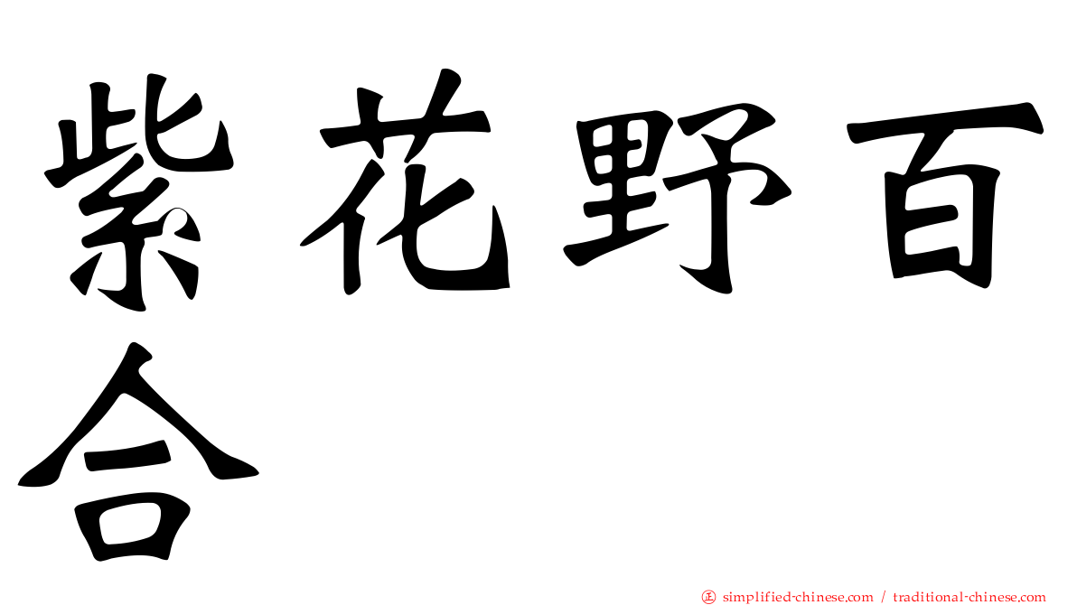 紫花野百合
