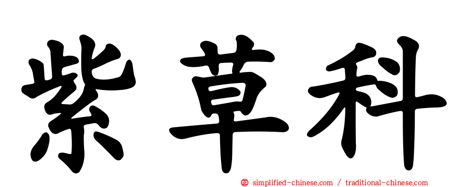 紫草科