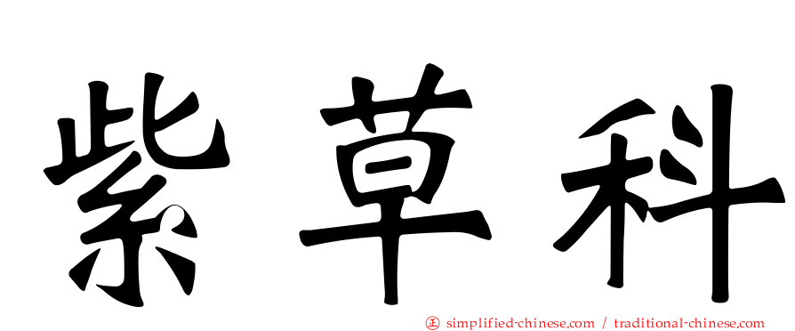 紫草科