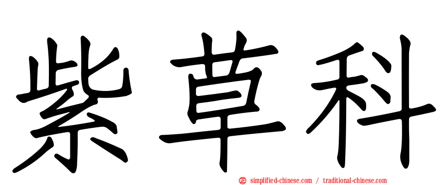 紫草科