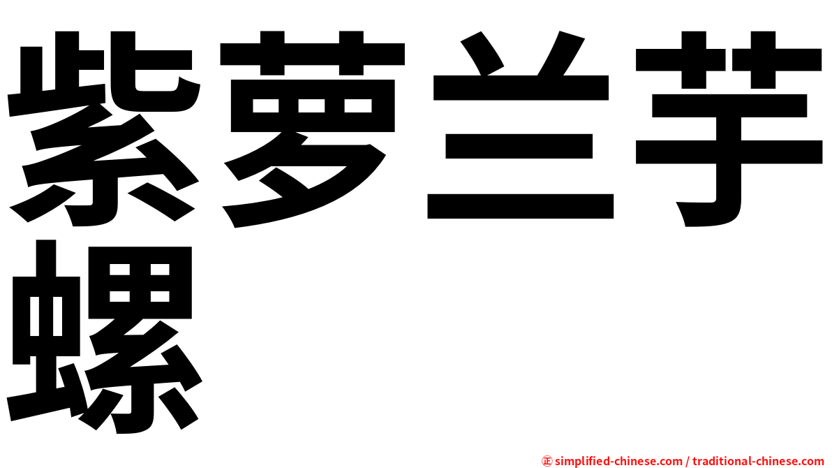紫萝兰芋螺