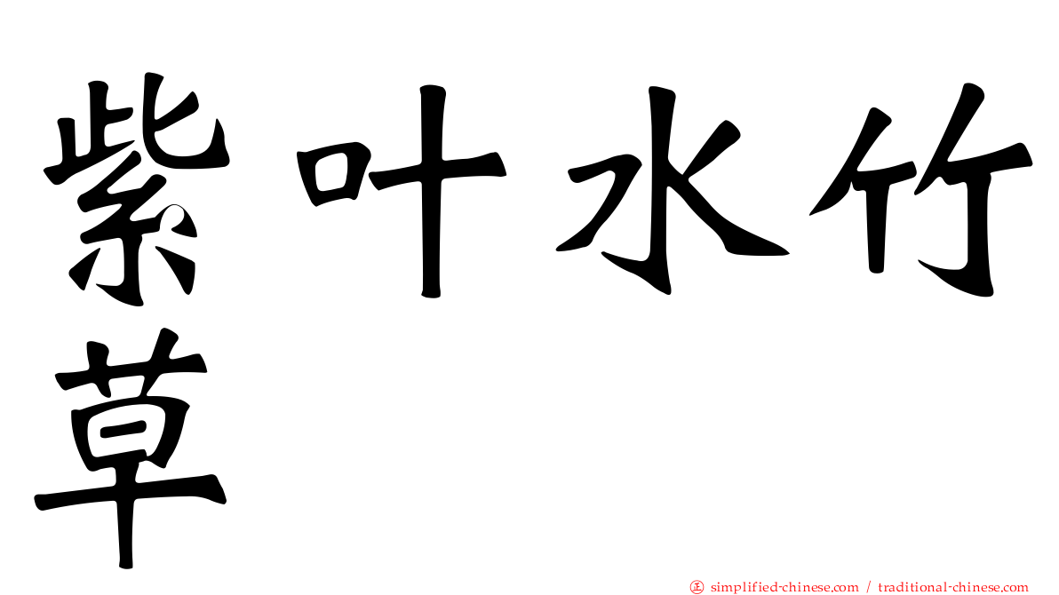 紫叶水竹草