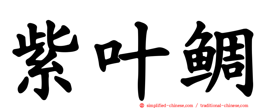紫叶鲷
