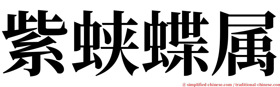 紫蛱蝶属 serif font