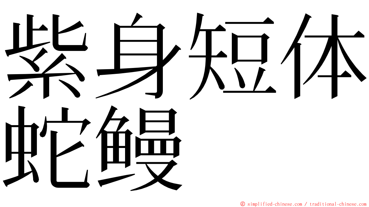 紫身短体蛇鳗 ming font