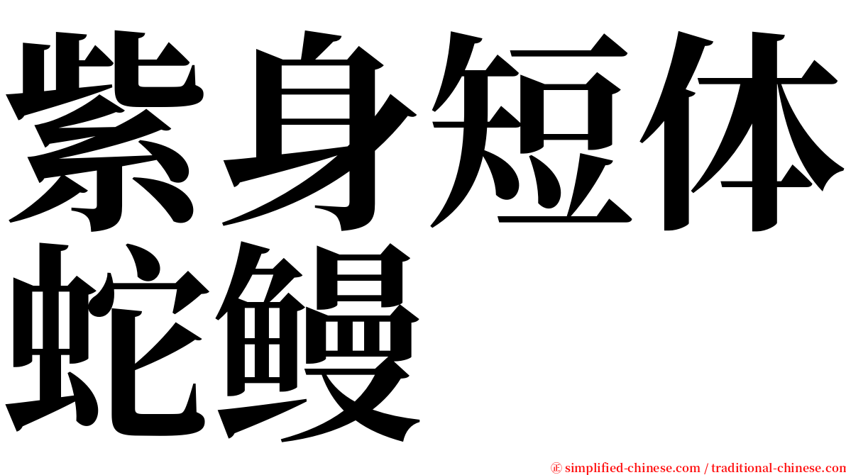 紫身短体蛇鳗 serif font