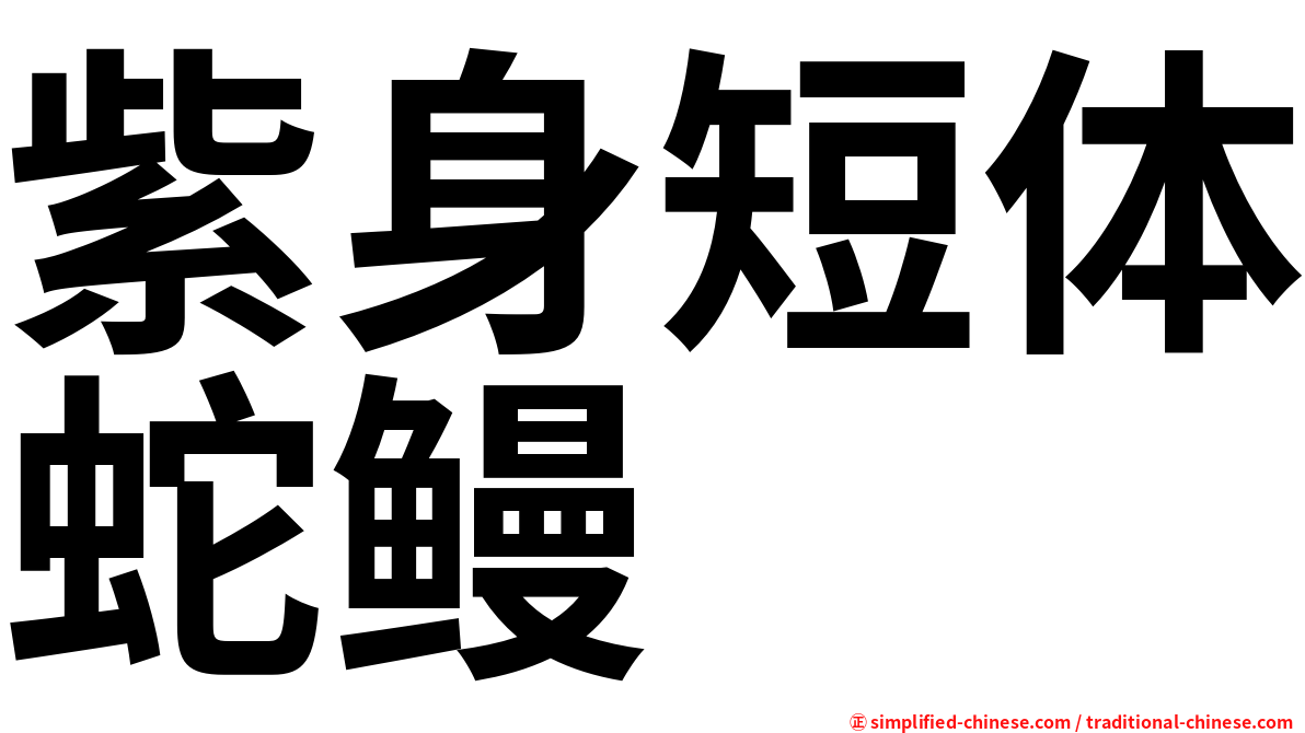 紫身短体蛇鳗