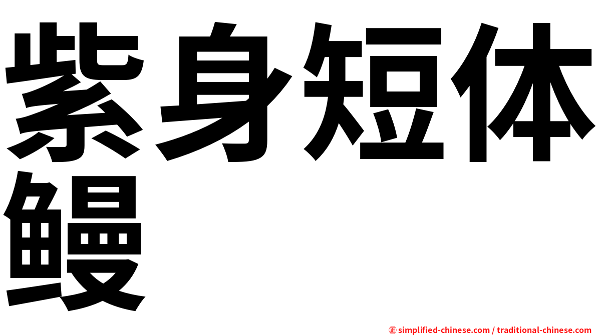 紫身短体鳗