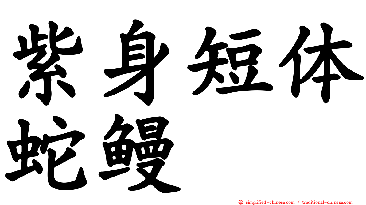 紫身短体蛇鳗