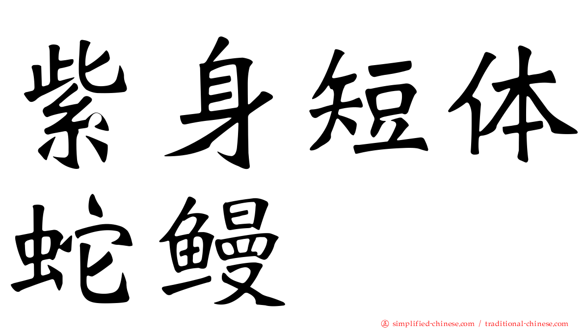 紫身短体蛇鳗