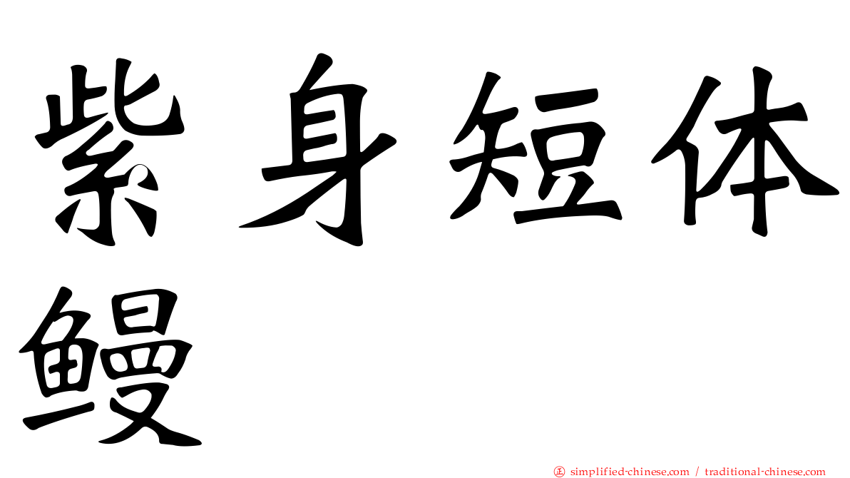 紫身短体鳗