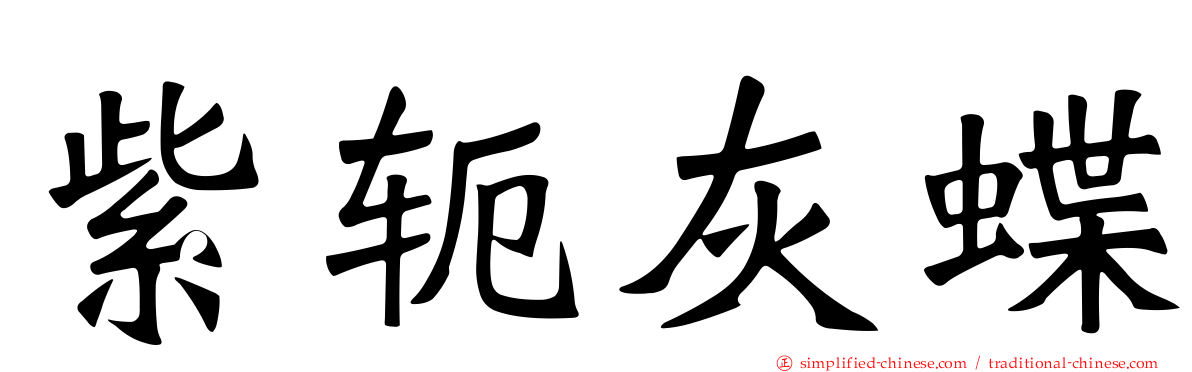 紫轭灰蝶