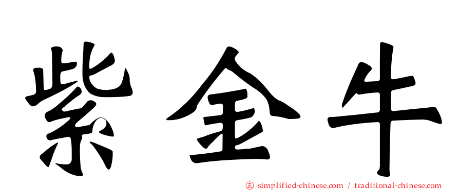 紫金牛