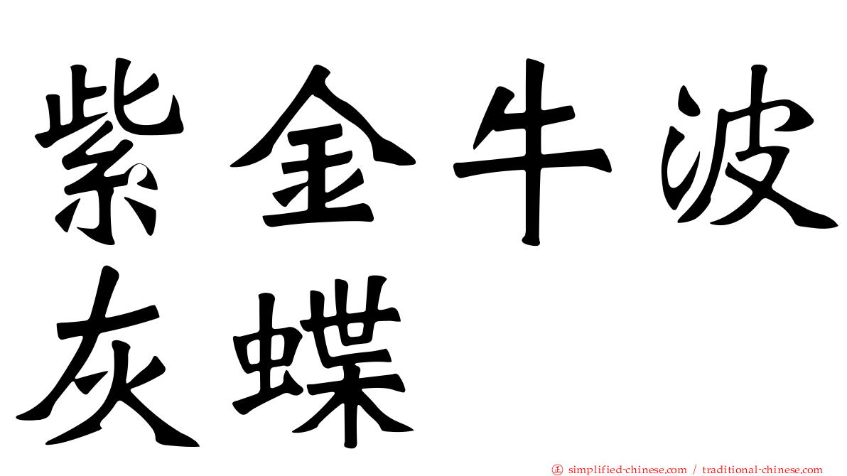 紫金牛波灰蝶