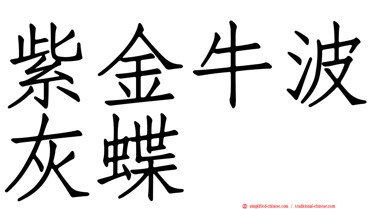 紫金牛波灰蝶