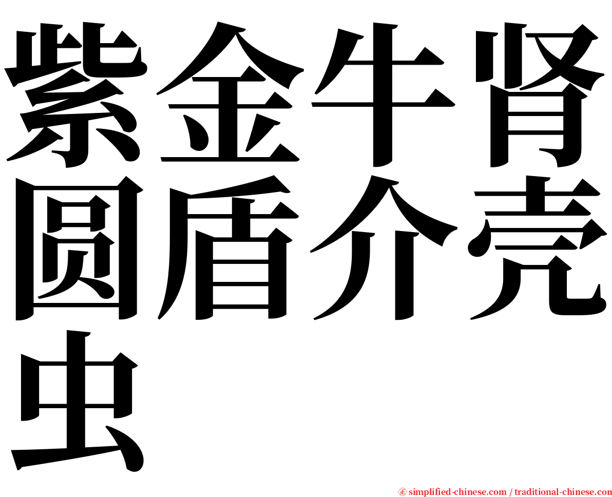 紫金牛肾圆盾介壳虫 serif font