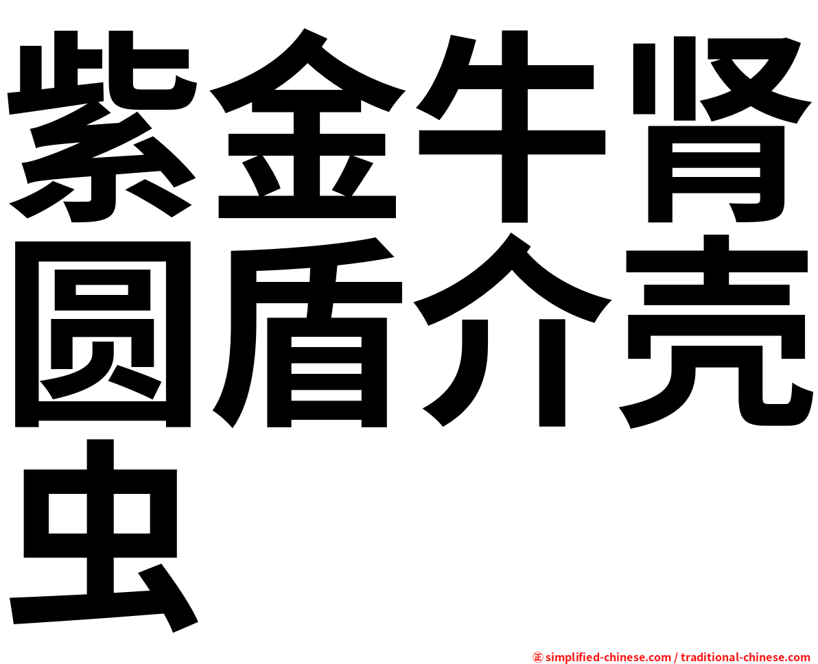 紫金牛肾圆盾介壳虫
