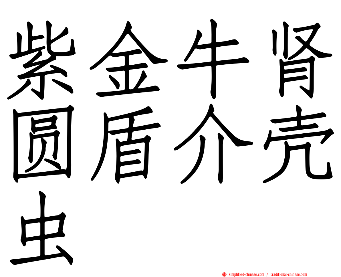 紫金牛肾圆盾介壳虫