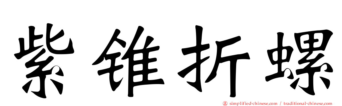 紫锥折螺