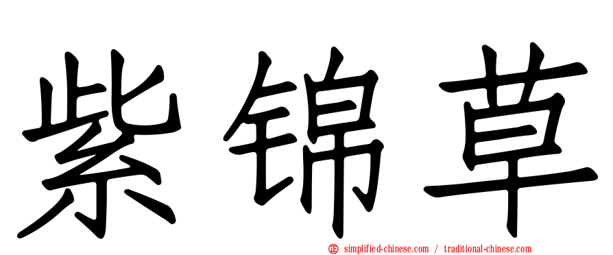 紫锦草