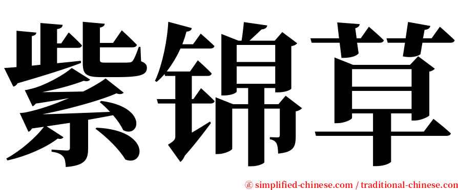 紫锦草 serif font